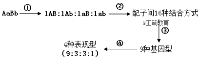 www.xiangpi.com
