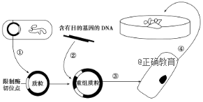 www.xiangpi.com
