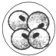 www.xiangpi.com