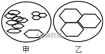 www.xiangpi.com