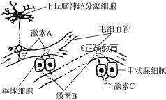 www.xiangpi.com