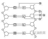 www.xiangpi.com