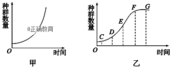 www.xiangpi.com