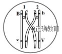 www.xiangpi.com