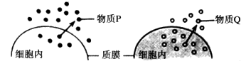 www.xiangpi.com