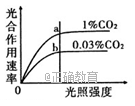 www.xiangpi.com