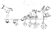 www.xiangpi.com