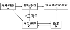 www.xiangpi.com