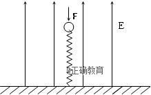 www.xiangpi.com