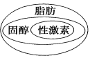 www.xiangpi.com