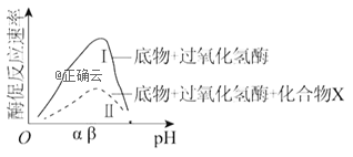 www.xiangpi.com