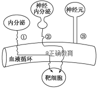 www.xiangpi.com