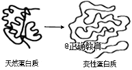www.xiangpi.com