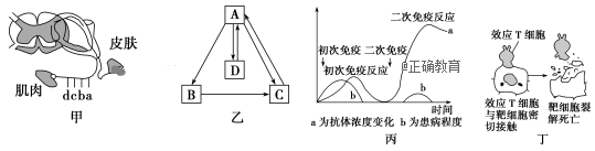 www.xiangpi.com