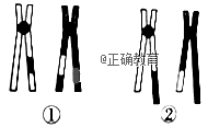 www.xiangpi.com