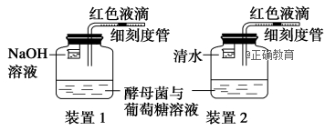 www.xiangpi.com
