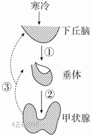 www.xiangpi.com