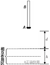 www.xiangpi.com