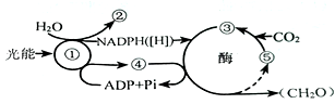 www.xiangpi.com