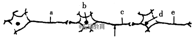 www.xiangpi.com