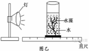 www.xiangpi.com