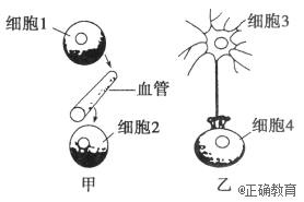 www.xiangpi.com