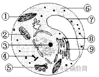 www.xiangpi.com