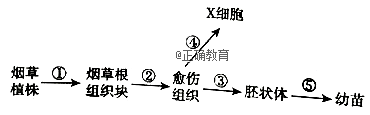 www.xiangpi.com