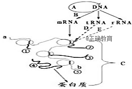 www.xiangpi.com