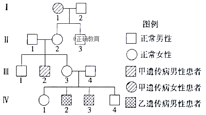 www.xiangpi.com
