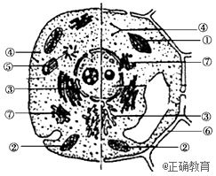 www.xiangpi.com