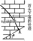 www.xiangpi.com