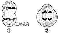 www.xiangpi.com