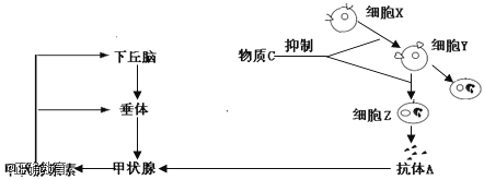 www.xiangpi.com