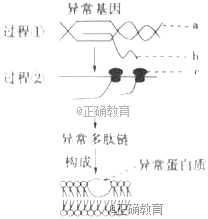 www.xiangpi.com