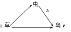 www.xiangpi.com