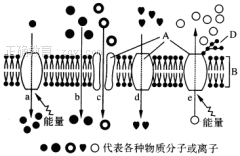 www.xiangpi.com