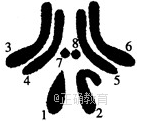 www.xiangpi.com