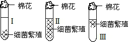 www.xiangpi.com