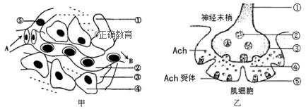 www.xiangpi.com