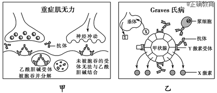 www.xiangpi.com