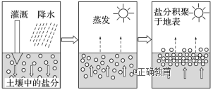 www.xiangpi.com