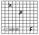 www.xiangpi.com