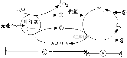 www.xiangpi.com