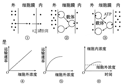 如图表示与自由扩散,协助扩散和主动运输有关的图例或