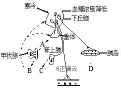 www.xiangpi.com