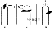 www.xiangpi.com