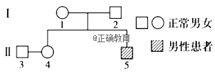 www.xiangpi.com