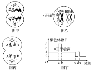 以下是基因型为aabb的高等雌性动物细胞分裂图像及细胞分裂过程中