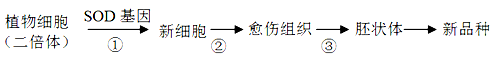 www.xiangpi.com